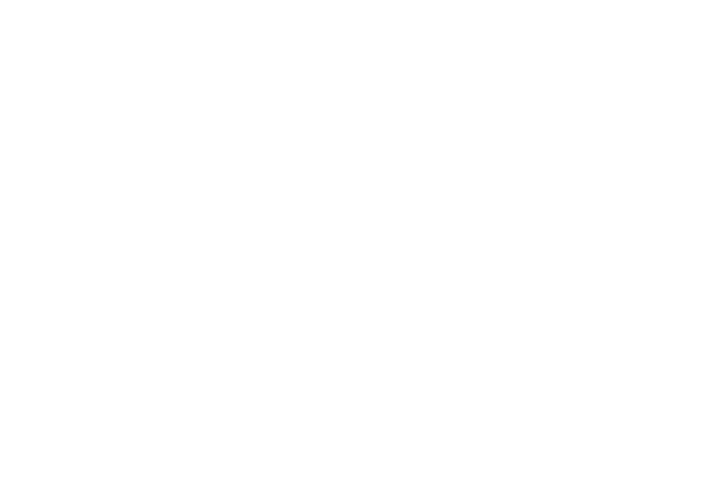 North Village logo